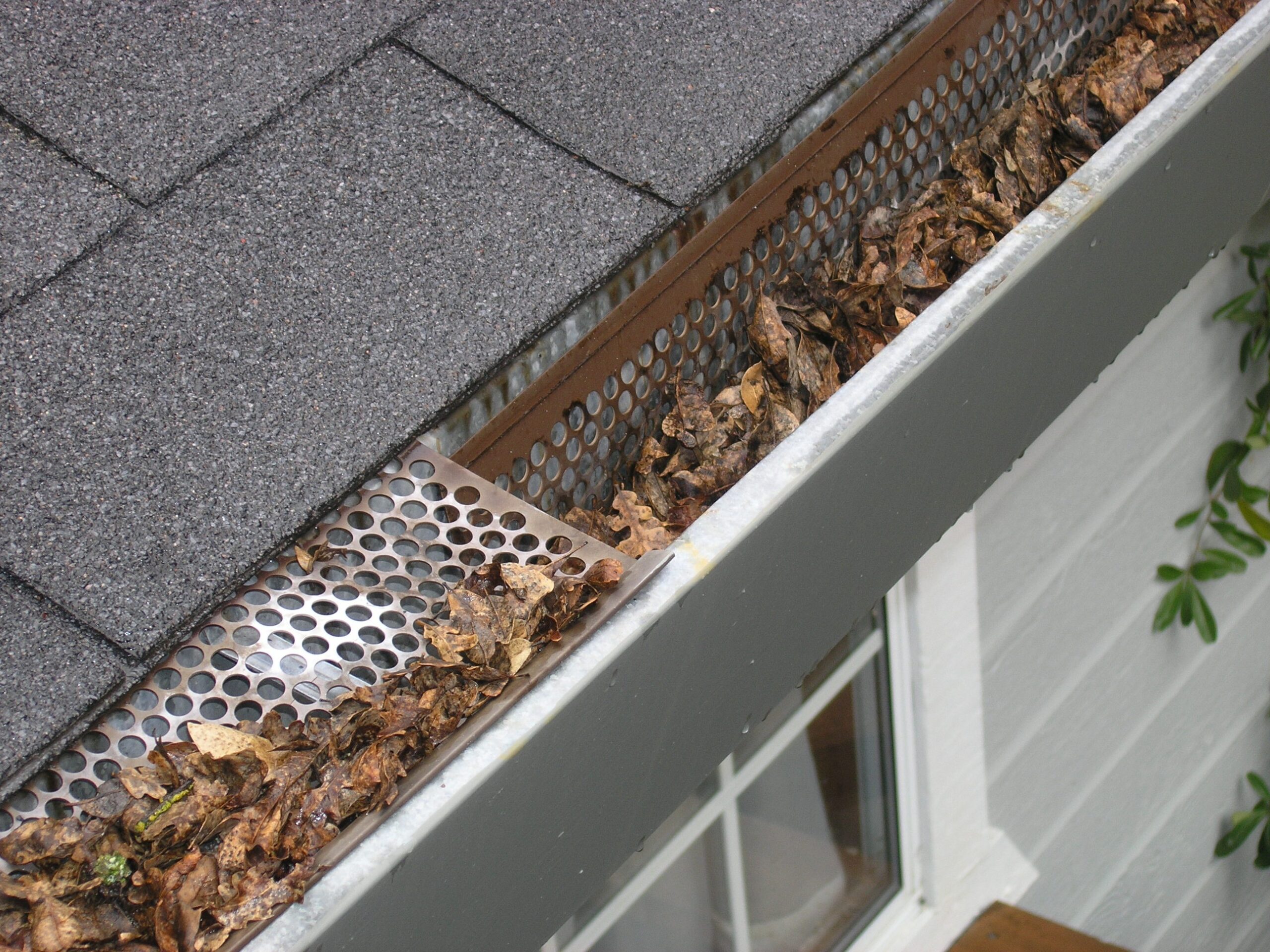 gutter-guard-ipswich-2434467